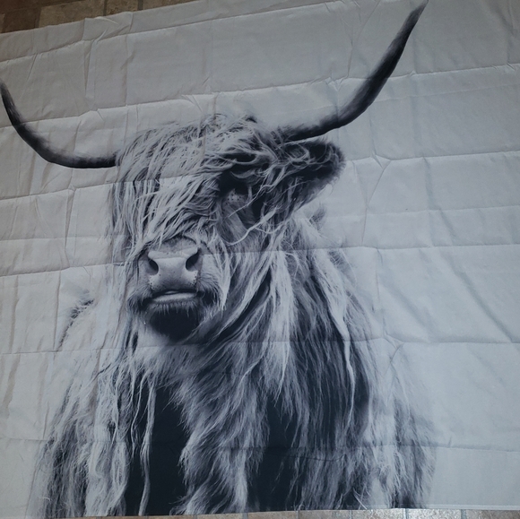 LAST ONE 🔥 Highlander Cow Tapestry - Picture 3 of 3
